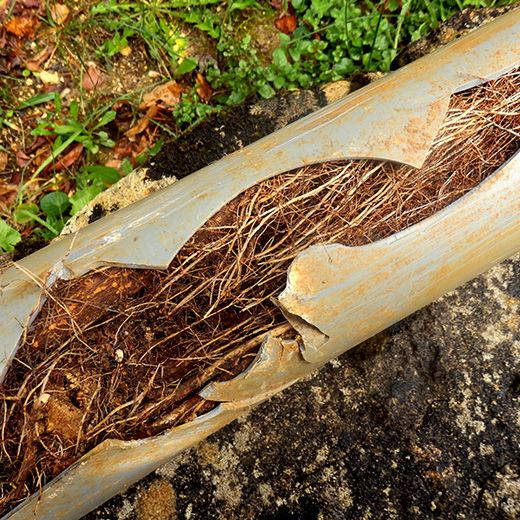 The Drain & Sewer Professionals In Croydon